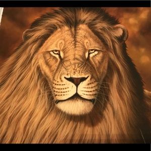 Zero Contestants    Andrew Bone’s Wildlife Series